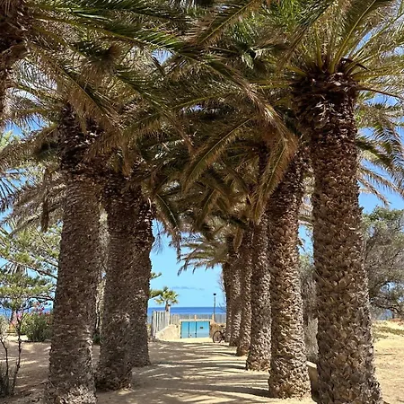 Quinta Do Ribeiro Salgado's House * Πόρτο Σάντο