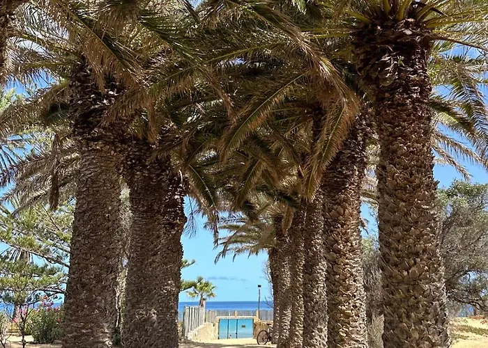 Quinta Do Ribeiro Salgado's House * Порту-Санту